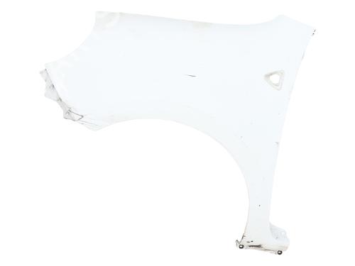 left-front-fenders-renault-kangoo-express-fw01_-2008-40173736 main image