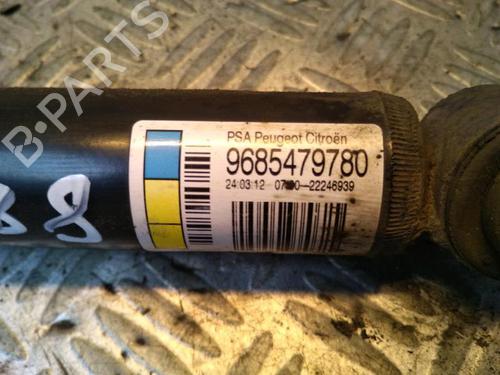 Left rear shock absorber CITROËN C3 II (SC_) 1.4 | BP29952366M18 