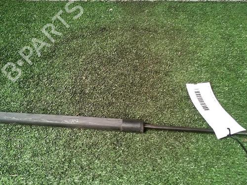 Used Tailgate lift support RENAULT SCÉNIC III (JZ0/1_) 1.9 dCi (JZ0J, JZ1J, JZ1K, JZ1S) (131 hp) 29951884