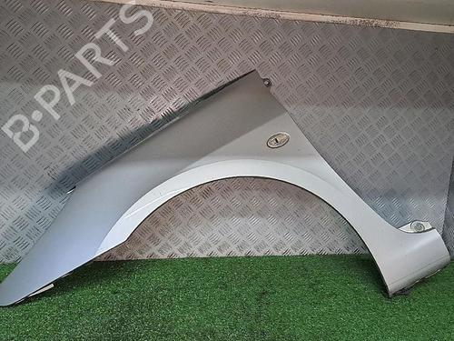 Left front fenders PEUGEOT 307 (3A/C) 1.6 HDi | BP29953013C41