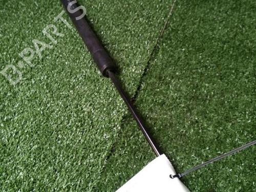 Tailgate lift support RENAULT SCÉNIC III (JZ0/1_) 1.5 dCi (JZ02, JZ0R) | BP29951341C138 