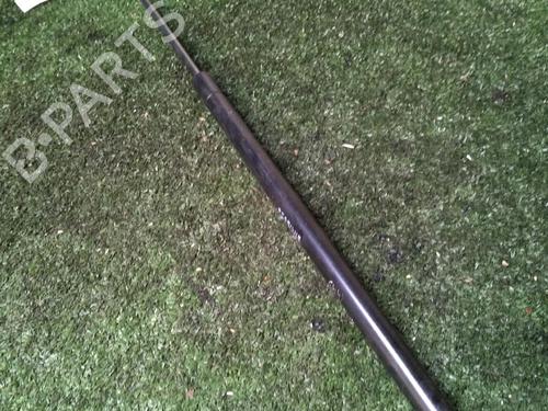 Tailgate lift support CITROËN XSARA Break (N2) 2.0 HDI 90 | BP17157164C138 