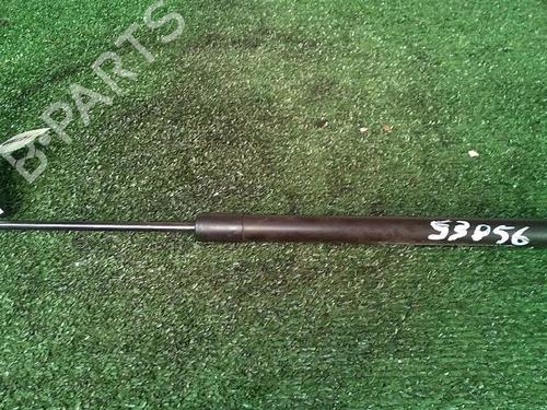 Used Tailgate lift support RENAULT SCÉNIC III (JZ0/1_) 1.5 dCi (106 hp) 30073795