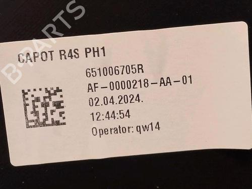 hood-renault-twingo-iii-bcm_-bca_-2014-29947189 main image