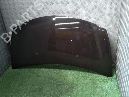 Used Hood RENAULT CLIO III (BR0/1, CR0/1) 1.5 dCi (BR17, CR17) (86 hp) 29948561