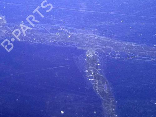 Left front door OPEL CORSA D (S07) 1.3 CDTI (L08, L68) | BP29952654C2 