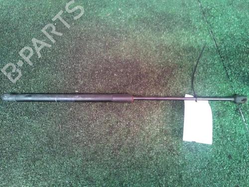 Tailgate lift support DACIA SANDERO 1.5 dCi | BP30073667C138 