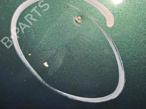 Hood RENAULT TWINGO I (C06_) 1.2 (C063, C064) | BP30076875C1 