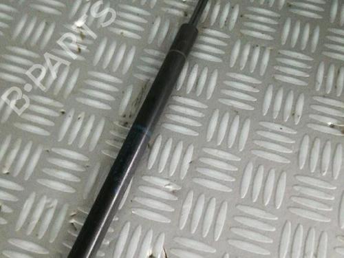 Tailgate lift support MINI MINI (R56) Cooper D | BP30074637C138