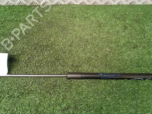 Tailgate lift support DACIA SANDERO 1.5 dCi | BP29952432C138 