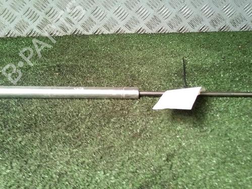 Tailgate lift support VW GOLF IV (1J1) 1.9 TDI | BP30076051C138