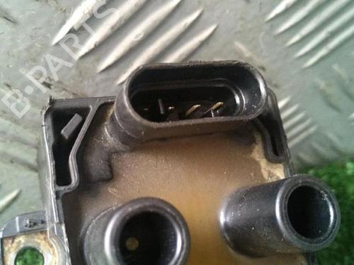 Bobine RENAULT TWINGO I (C06_) 1.2 (C066, C068) | BP30076091M94