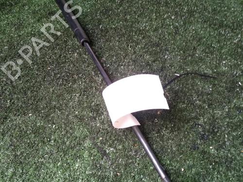 Tailgate lift support CITROËN XSARA Break (N2) 2.0 HDI 90 | BP17157165C138 