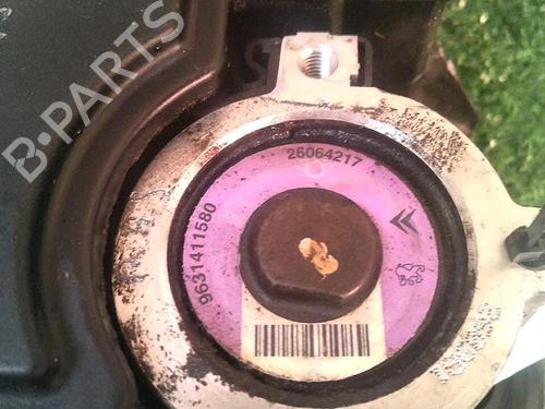 Steering pump PEUGEOT 206 Hatchback (2A/C) 1.4 i | BP30073578M99 
