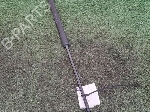 tailgate-lift-support-citroen-c3-iii-sx-2016-29948682 main image