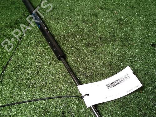 tailgate-lift-support-renault-scenic-ii-jm01_-2003-2004-2005-2006-2007-2008-2009-2010-30072378 main image