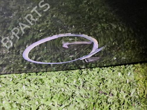 Tailgate RENAULT MEGANE III Hatchback (BZ0/1_, B3_) 1.5 dCi (BZ09, BZ0D, BZ1W, BZ29, BZ14) | BP21756027C6 