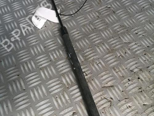 Used Tailgate lift support AUDI A2 (8Z0) 1.4 TDI (75 hp) 30072553