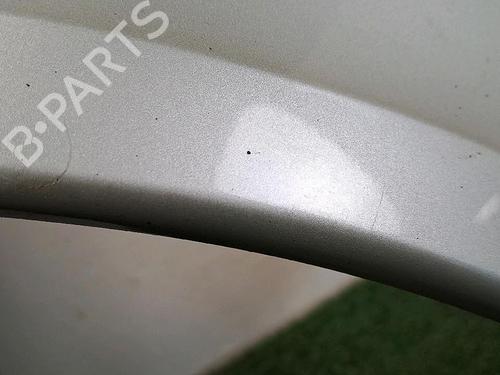 Left front fenders RENAULT LAGUNA II (BG0/1_) 1.9 dCi (BG08, BG0G) | BP30065584C41 