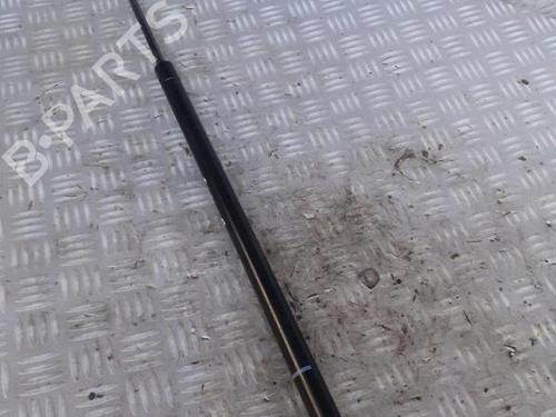 Tailgate lift support FIAT DOBLO MPV (119_, 223_) 1.3 JTD 16V | BP30072619C138