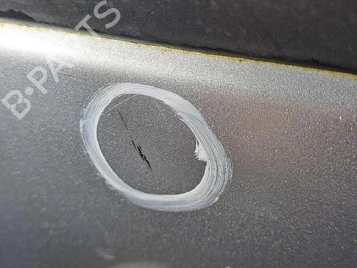 Used Left front door CITROËN C3 Picasso (SH_) 1.6 HDI 90 (92 hp) 29946949