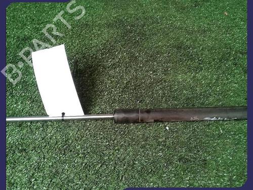 Tailgate lift support RENAULT CLIO III (BR0/1, CR0/1) 1.5 dCi (C/BR0G, C/BR1G) | BP30074135C138