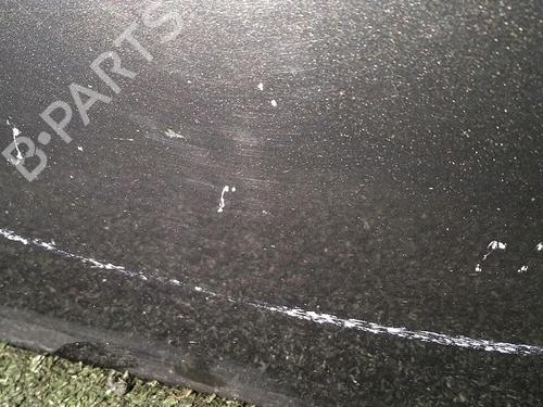 Left front door RENAULT MEGANE II (BM0/1_, CM0/1_) 1.6 16V | BP30076512C2