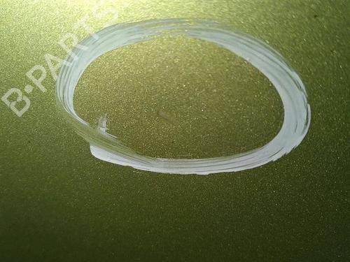 Left front door RENAULT MEGANE II (BM0/1_, CM0/1_) 1.9 dCi (BM0G, CM0G) | BP30076392C2