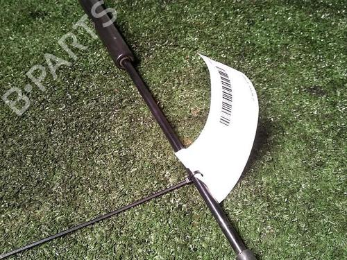 Used Tailgate lift support PEUGEOT 207 (WA_, WC_) 1.6 HDi (90 hp) 29951200