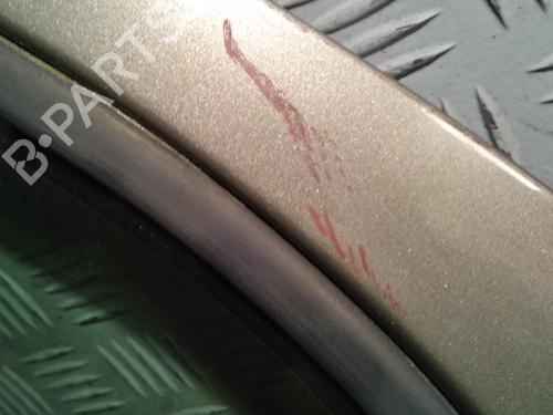 Right front door CITROËN XSARA PICASSO (N68) 1.6 HDi | BP29950664C3