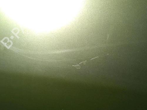 Left rear door RENAULT MEGANE II (BM0/1_, CM0/1_) 1.6 16V (BM0C, CM0C) | BP30076490C4 