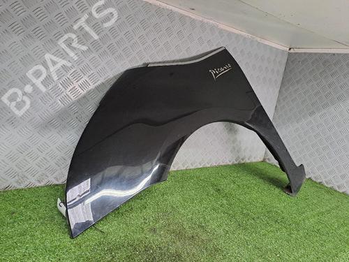 Left front fenders CITROËN C4 Picasso I MPV (UD_) 1.6 HDi 110 | BP20229745C41 