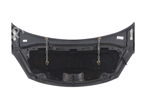 hood-citroen-ds3-sa_-2009-2010-2011-2012-2013-2014-2015-2016-40519063 main image