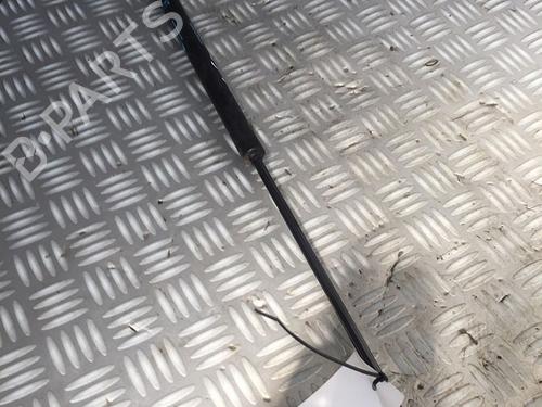 Tailgate lift support CITROËN C4 Picasso I MPV (UD_) 1.6 HDi | BP29951272C138 