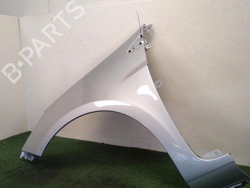Left front fenders RENAULT CLIO III (BR0/1, CR0/1) 1.2 16V (BR02, BR0J, BR11, CR02, CR0J, CR11) | BP29948957C41