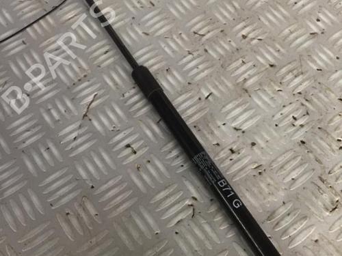 tailgate-lift-support-citroen-c4-ii-nc_-2009-30072463 main image