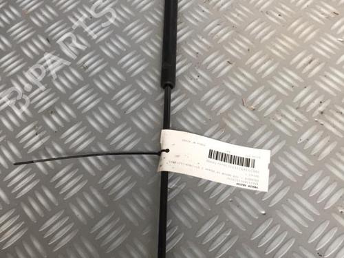 Tailgate lift support PEUGEOT 309 II (3C, 3A) 1.9 Diesel | BP30068966C138