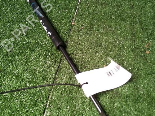 Used Tailgate lift support RENAULT GRAND SCÉNIC II (JM0/1_) 1.9 dCi (JM0G, JM12, JM1G, JM2C) (120 hp) 30072718