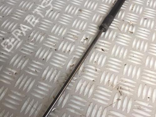 Tailgate lift support FORD FOCUS III 1.5 EcoBoost | BP30071238C138 