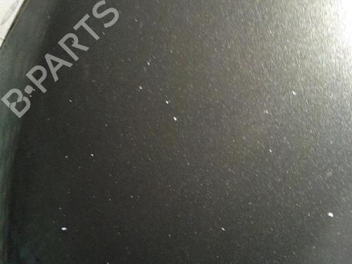Hood RENAULT GRAND SCÉNIC II (JM0/1_) 1.9 dCi (JM14) | BP24651932C1 