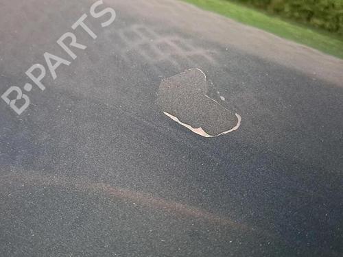 Forkjerm høyre VW GOLF IV (1J1) 1.9 TDI | BP30076638C42 