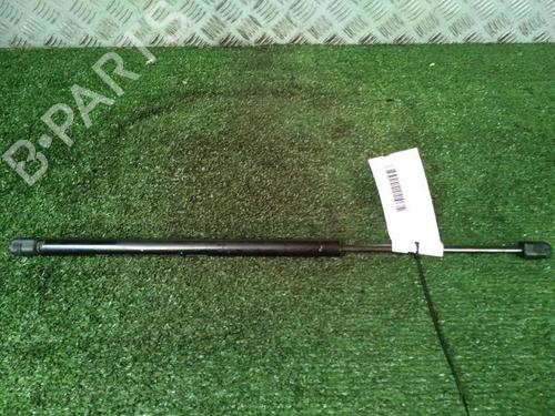 Used Tailgate lift support Tailgate lift support RENAULT SCÉNIC II (JM0/1_) 1.5 dCi (JM1E, JM16) (106 hp) 30073820 30073820