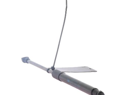 Gasdæmper bagklap RENAULT TWINGO II (CN0_) 1.2 16V (CN04, CN0B) (75 hp) 31160761