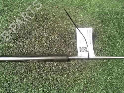 Used Tailgate lift support RENAULT CLIO III (BR0/1, CR0/1) 1.6 16V (BR05, BR0B, BR0Y, BR15, BR1J, BR1M, BR1Y, CR0B,... (112 hp) 29952642