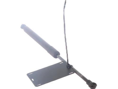 Tailgate lift support RENAULT TWINGO II (CN0_) 1.5 dCi (CN0E) | BP30704148C138