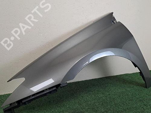 Left front fenders RENAULT LAGUNA III (BT0/1) 1.5 dCi (BT00, BT0A, BT0T, BT1J) | BP30063940C41
