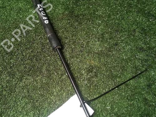 Tailgate lift support PEUGEOT 208 I (CA_, CC_) 1.6 HDi | BP29951206C138