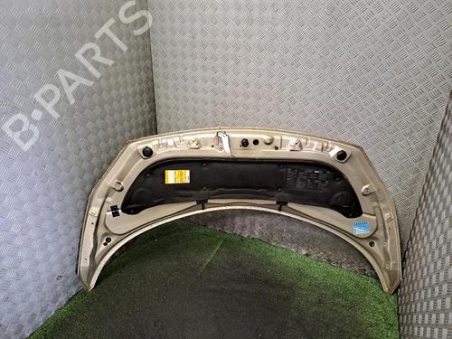 Hood RENAULT SCÉNIC II (JM0/1_) 1.5 dCi (JM1E, JM16) | BP20507515C1 