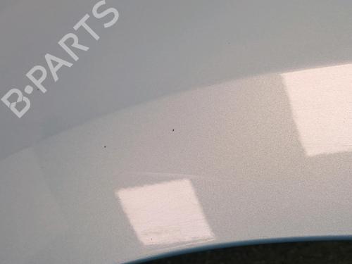 Left front fenders RENAULT KANGOO / GRAND KANGOO II (KW0/1_) 1.5 dCi 85 (KW0K, KW0L, KW0B) | BP29047211C41 