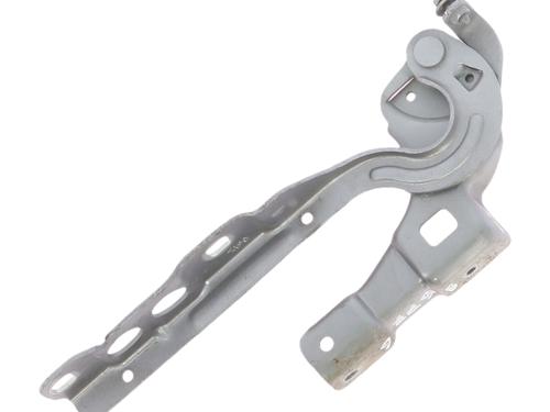 hingedoor-check-strap-citroen-c4-ii-nc_-2009-38054150 main image